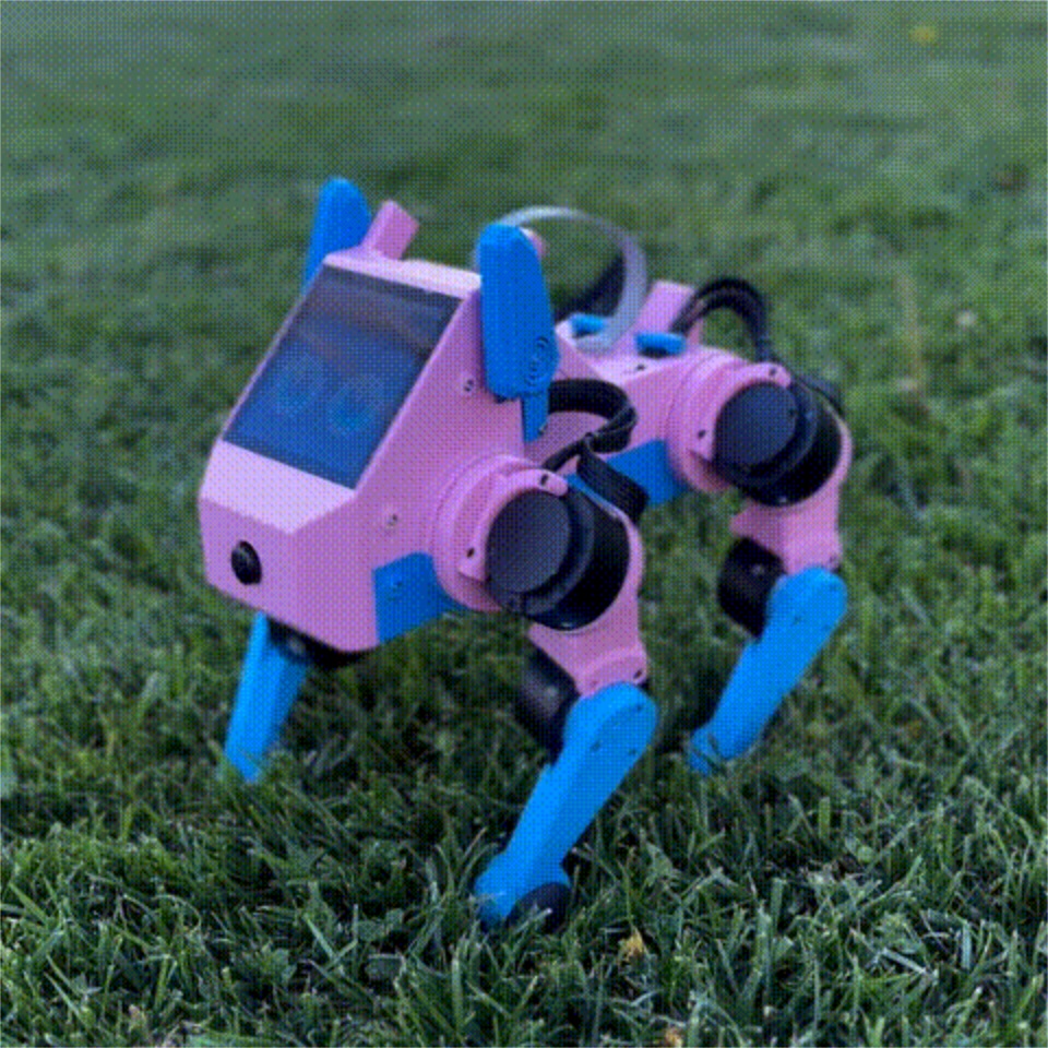 pupper spin