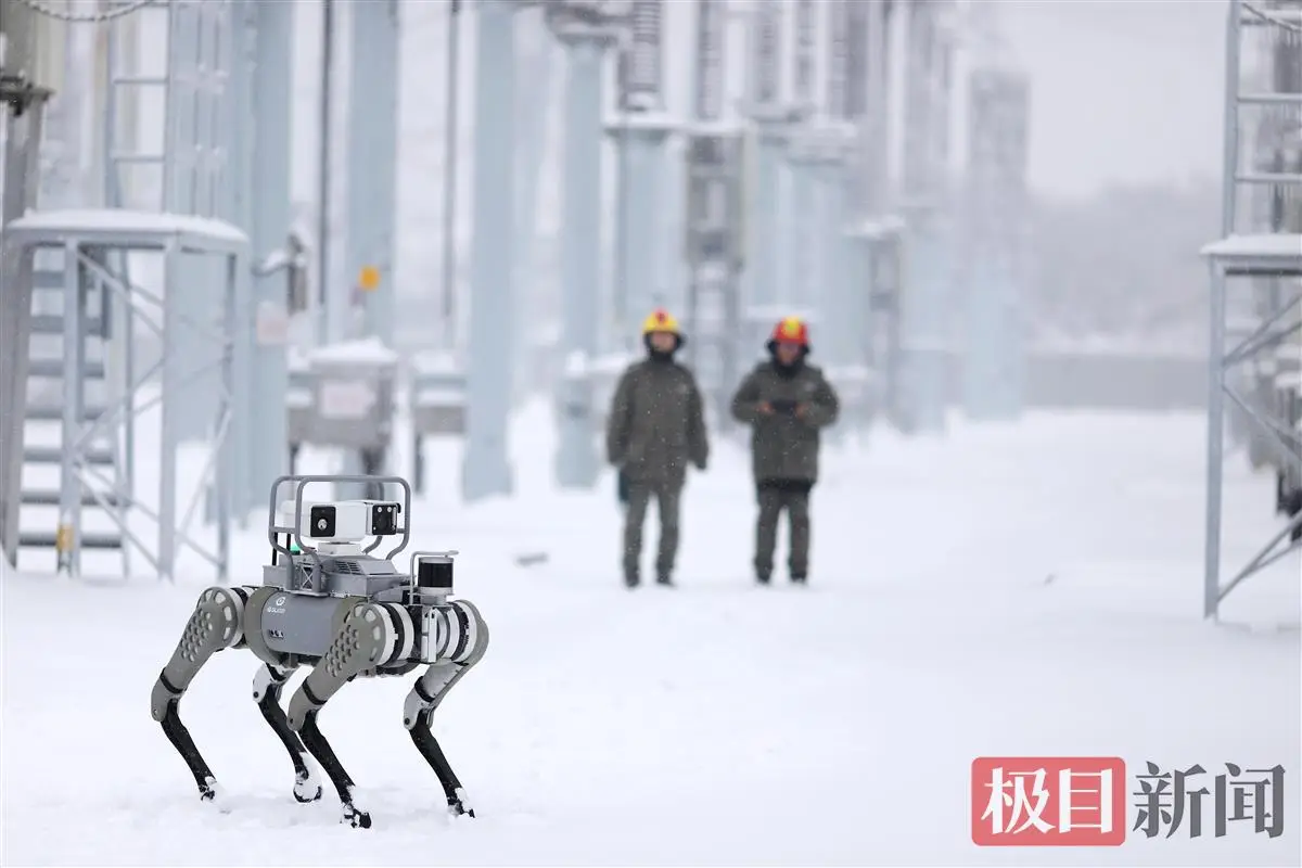 雪地机器狗示例
